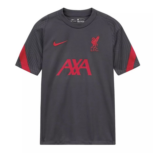 Camiseta de Entrenamiento Liverpool 2020 2021 Gris